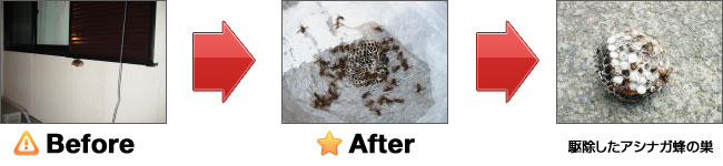 アシナガバチ、蜂の巣駆除の作業前・作業後比較
