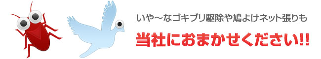 いや～なゴキブリ駆除や鳩よけネット張りも当社におまかせください！！