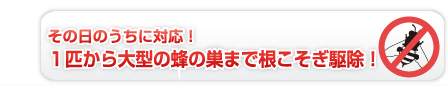 その日のうちに対応！１匹から大型の蜂の巣まで根こそぎ駆除！