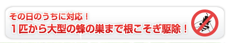 その日のうちに対応！１匹から大型の蜂の巣まで根こそぎ駆除！