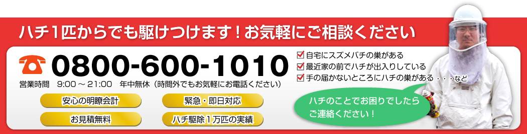 ハチ１匹からでも駆けつけます！お気軽にご相談ください