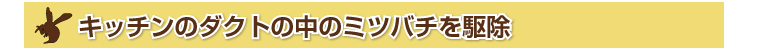 キッチンのダクトの中のミツバチを駆除